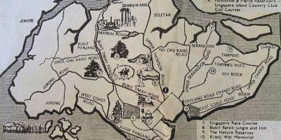 Mapa antiguo de Singapur