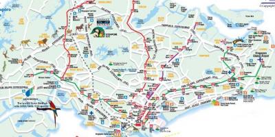 Mapa de carreteras de Singapur