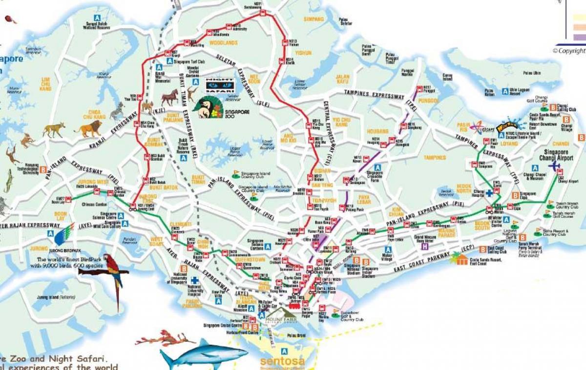 mapa de carreteras de Singapur